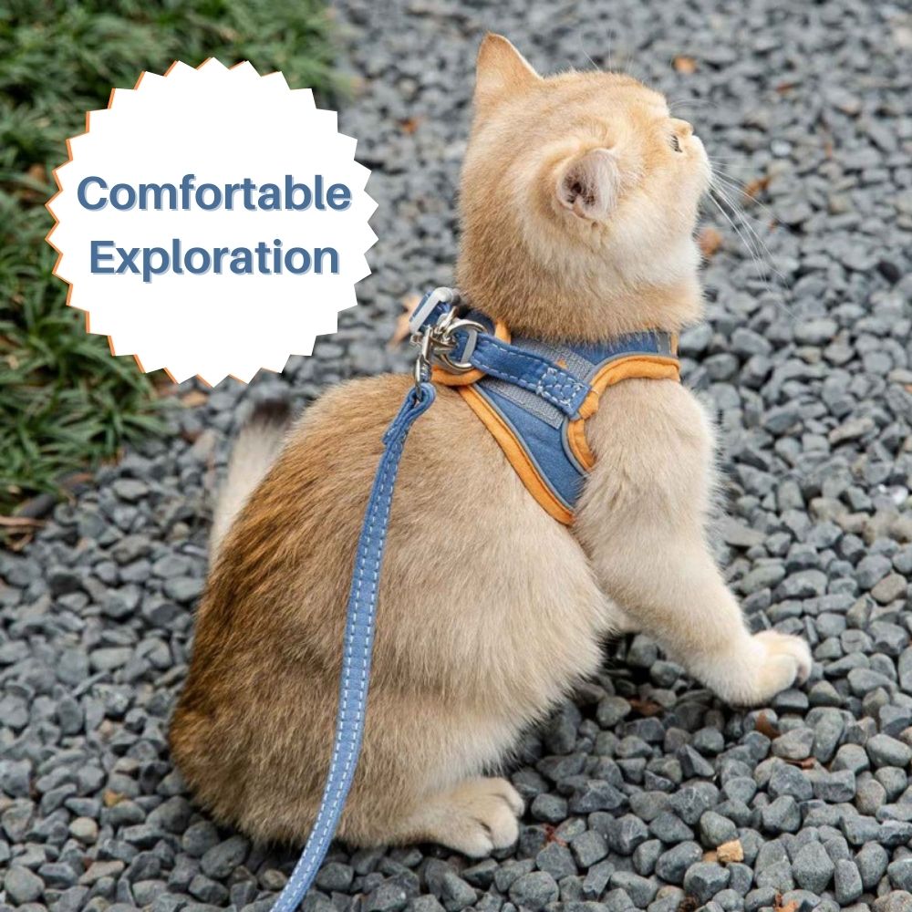 QIAWI™ Cat Harness And Leash Set
