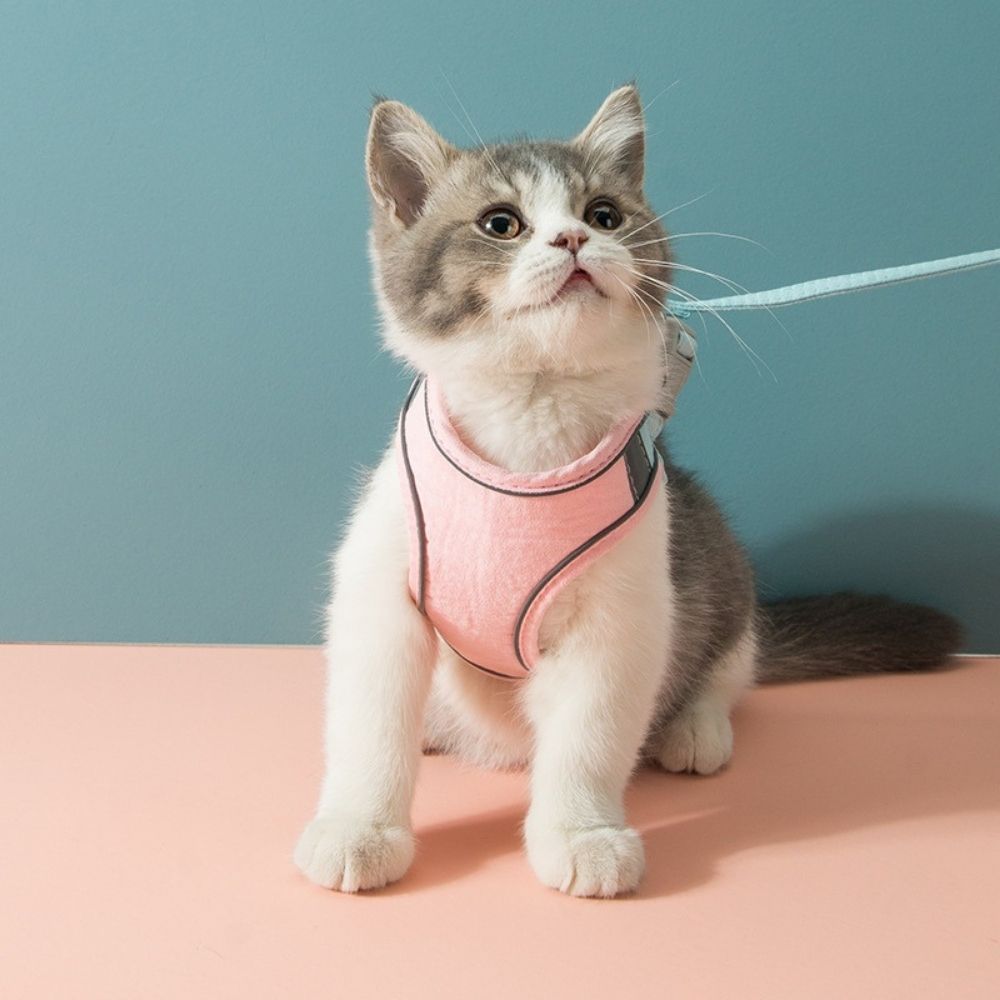 QIAWI™ Cat Harness And Leash Set
