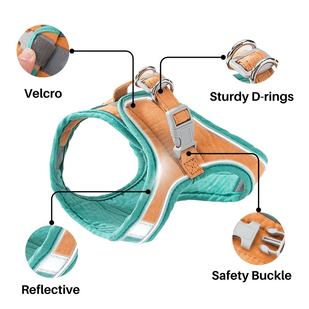 QIAWI™ Cat Harness And Leash Set