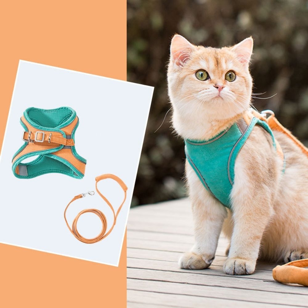 QIAWI™ Cat Harness And Leash Set